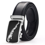 Designer belt For men