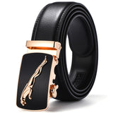 Designer belt For men