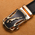 Designer belt For men